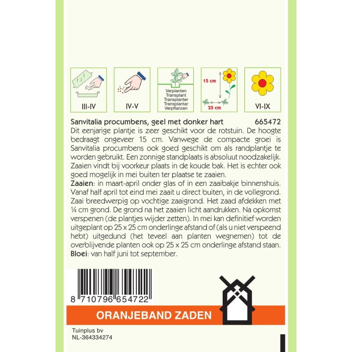 Oranjeband® Sanvitalia procumbens Yellow