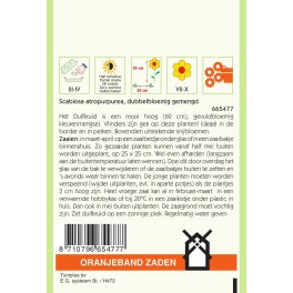 Oranjeband® Scabiosa Atropurpurea Grandiflora Mixed