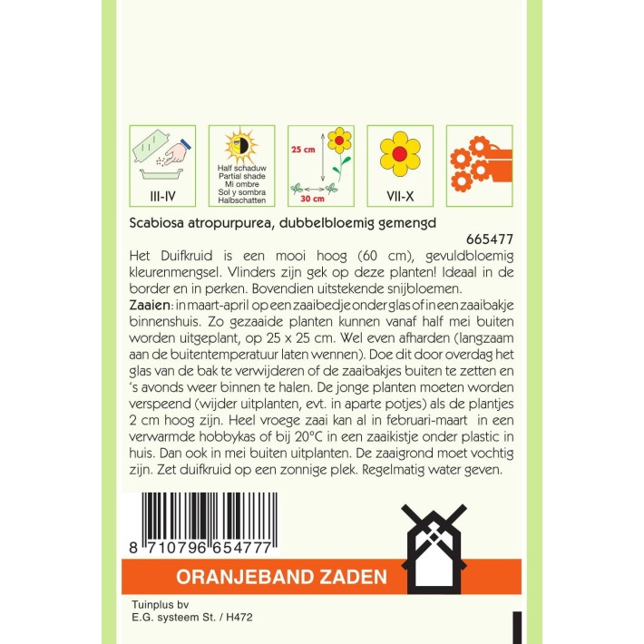 Oranjeband® Scabiosa Atropurpurea Grandiflora Mixed
