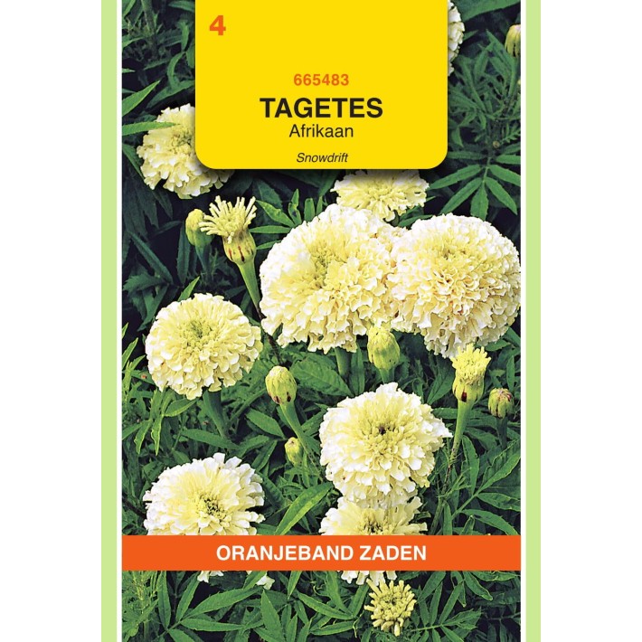 Oranjeband® Tagetes Erecta Dwf Double Snowdrift  White
