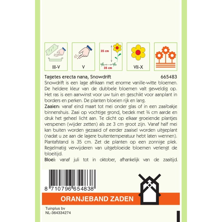 Oranjeband® Tagetes Erecta Dwf Double Snowdrift  White