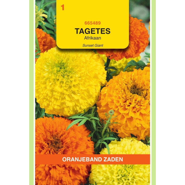 Oranjeband® Tagetes Erecta Double Crackerjack Varie