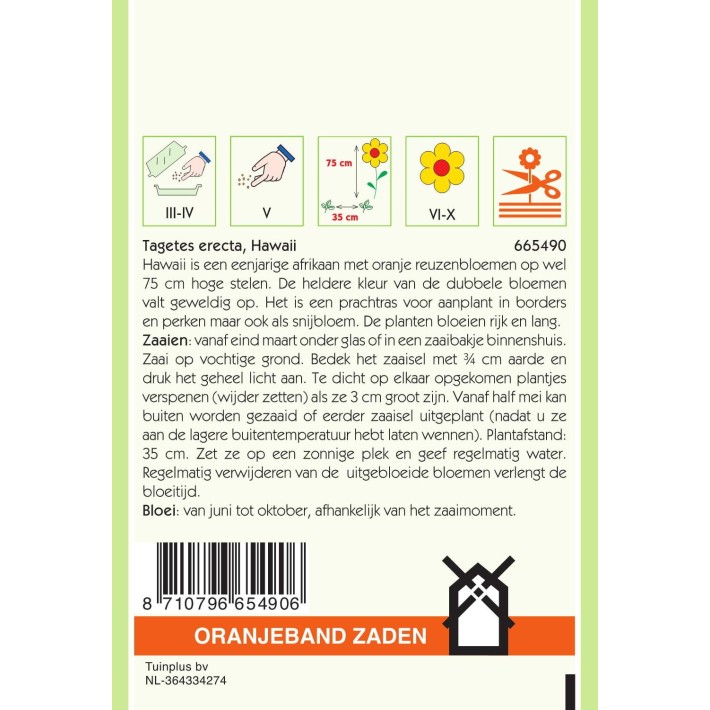 Oranjeband® Tagetes Erecta Tall Double Hawaii Orange