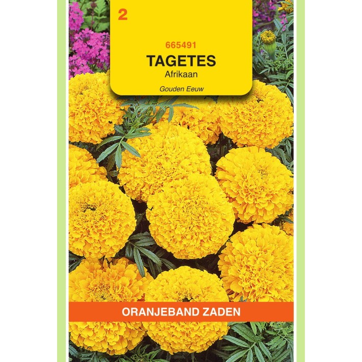 Oranjeband® Tagetes Erecta Dwarf Double Golden Age