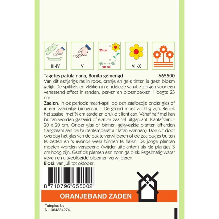 Oranjeband® Tagetes patula nana double Bonita varié