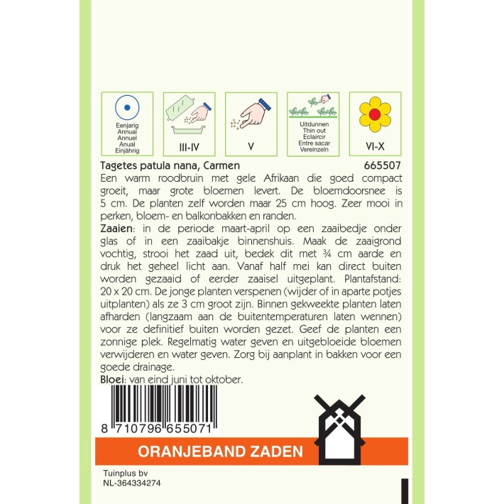 Oranjeband® Tagetes Patula Nana Carmen, Mahogany Red