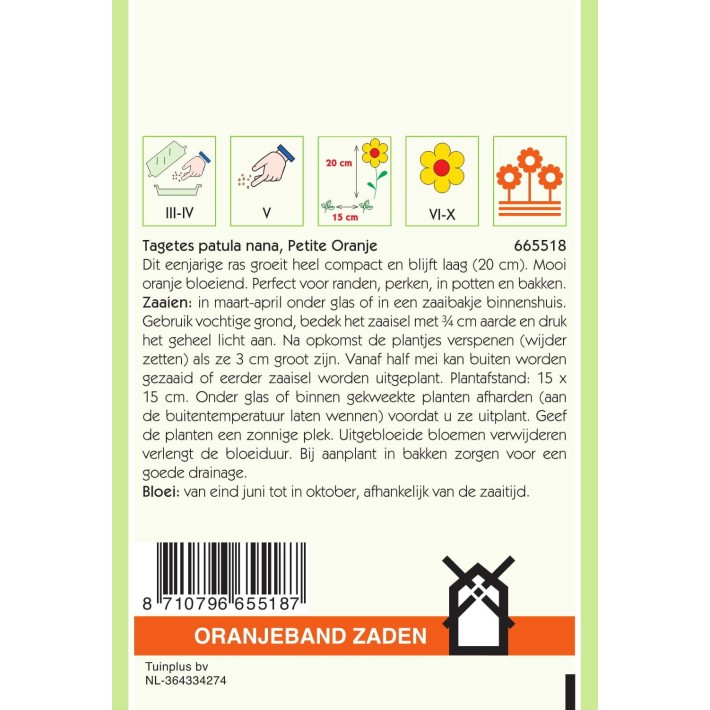 Oranjeband® Tagetes Patula Nana Double  Petite Orange
