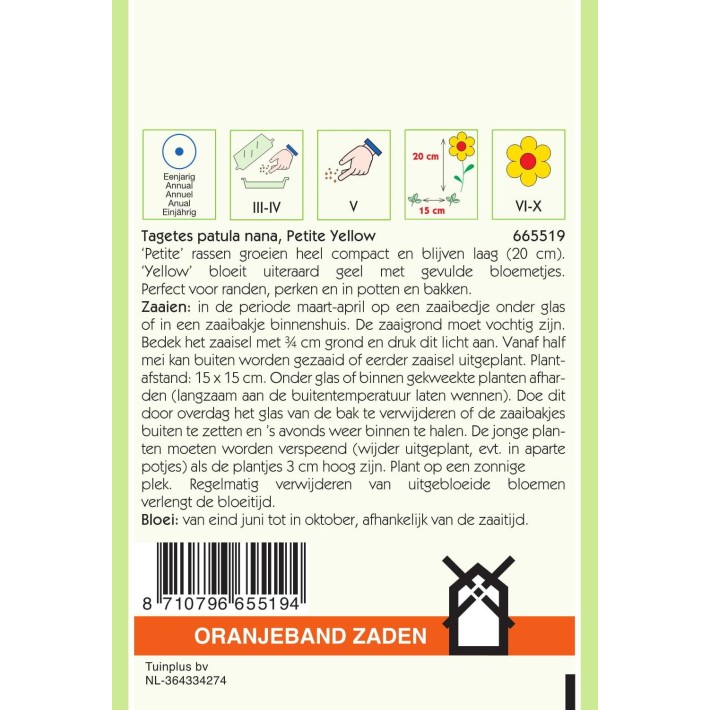 Oranjeband® Tagetes pat. nana double Petite Yellow