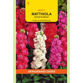 Oranjeband® Matthiola incana Quarantaine double variée
