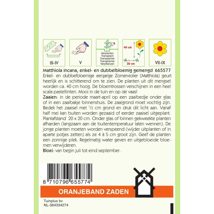 Oranjeband® Matthiola incana Quarantaine double variée