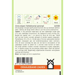 Zinnia Dahliabloemig gemengd