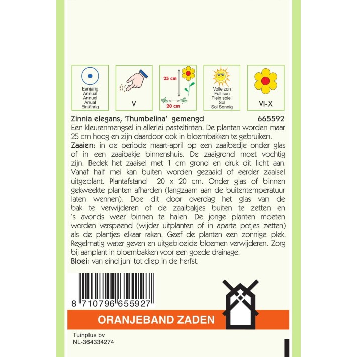 Oranjeband® Zinnia elegans Thumbelina dwarf mixed