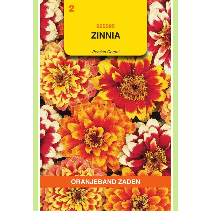 Oranjeband® Zinnia Haageana Persian Carpet Mixed