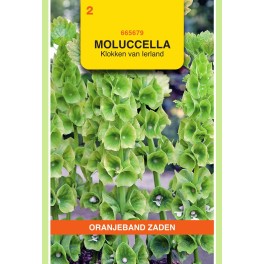Oranjeband® Moluccella Laevis / Gloches D'Irlande