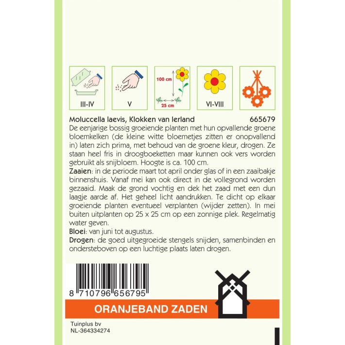 Oranjeband® Moluccella Laevis / Gloches D'Irlande