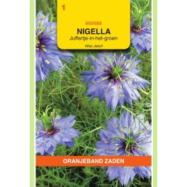 Nigella, Juffertje-in-het-groen Miss Jekyll