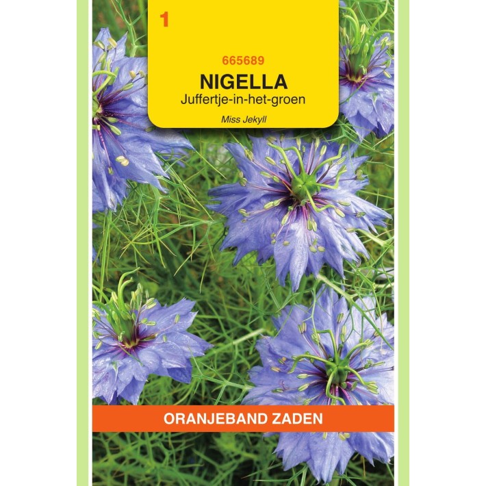 Oranjeband® Nigella Damascena Miss Jekyll Blue