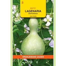Oranjeband® Lagenaria siceraria - Bottle Gourd
