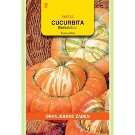 Oranjeband® Cucurbita Turbanif. - Gourds Turkish Turban