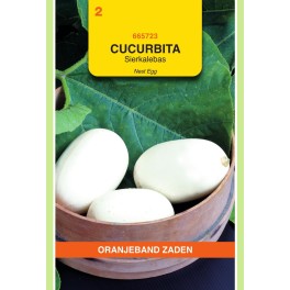 Oranjeband® Cucurbita pepo 