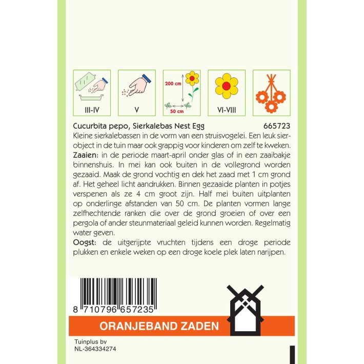 Oranjeband® Cucurbita pepo 