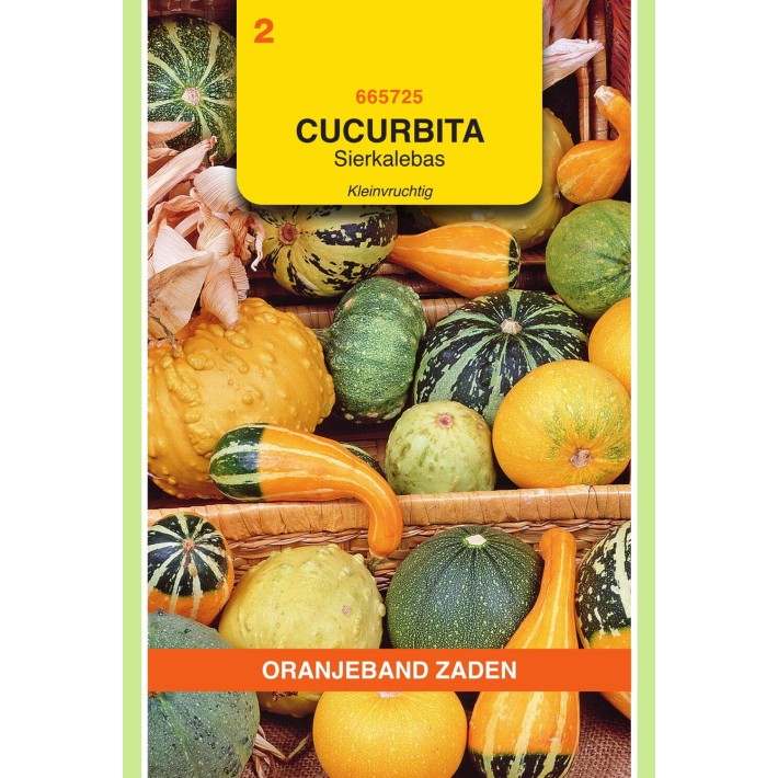 Oranjeband® Cucurbita pepo, Gourd small fruited mixed