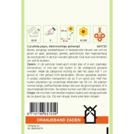 Oranjeband® Cucurbita pepo, Gourd small fruited mixed