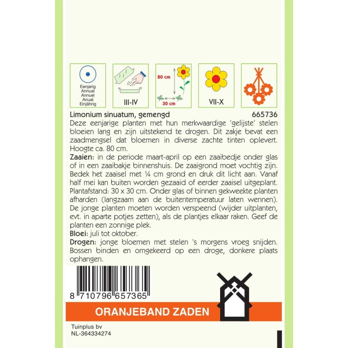 Oranjeband® Limonium Sinuatum Pacific Varie (Statice)