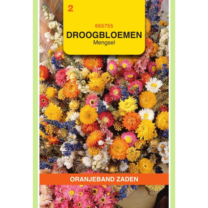 Oranjeband® Everlasting Flowers Mixed