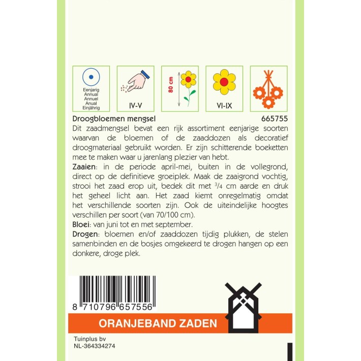 Oranjeband® Everlasting Flowers Mixed