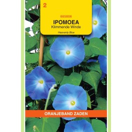 Ipomoea, Klimmende Winde Heavenly Blue