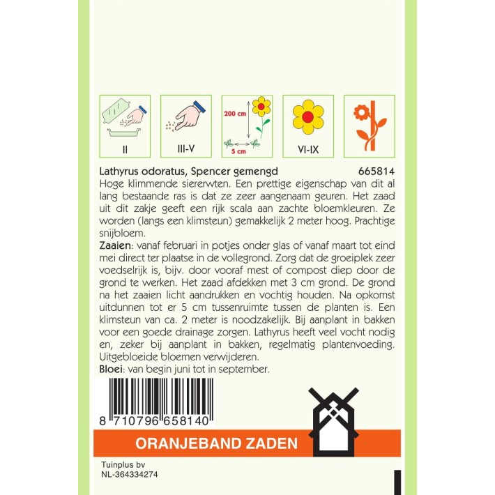Oranjeband® Lathyrus odoratus Spencer Mixed