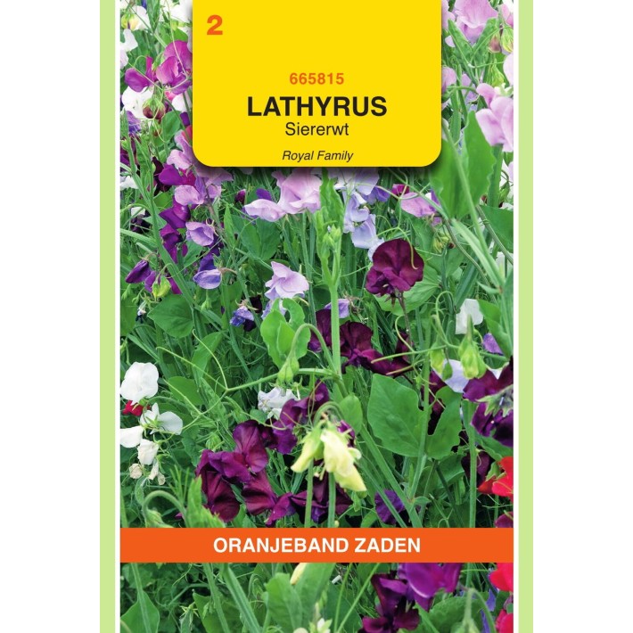 Oranjeband® Lathyrus odoratus Royal Family mixed