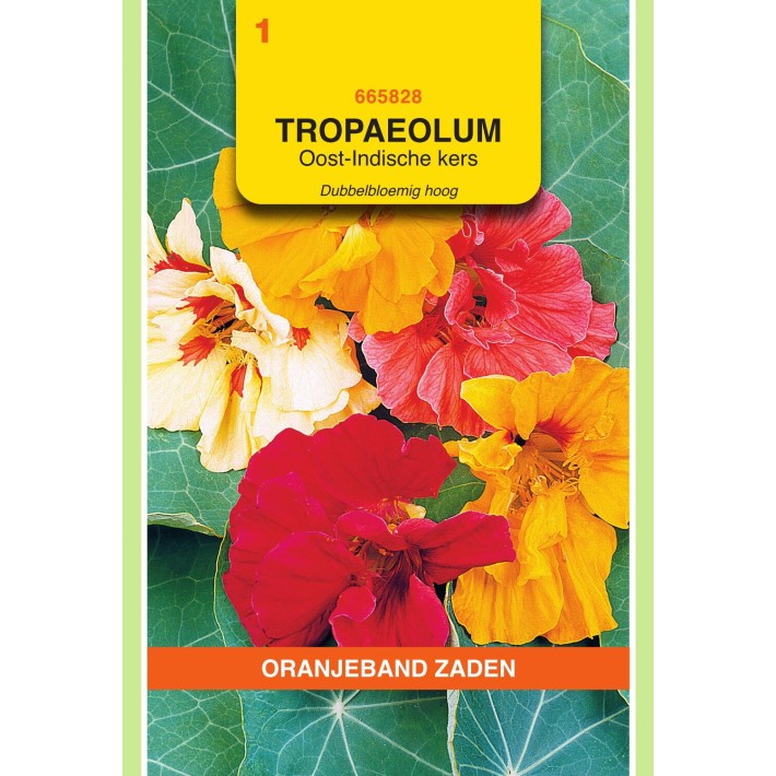 Oranjeband® Tropaeolum Majus Grand Double Varie