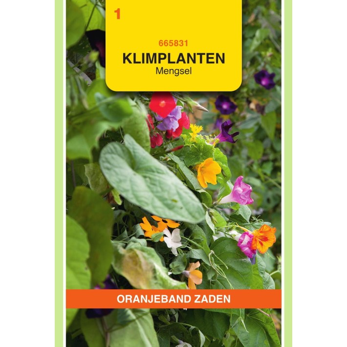 Oranjeband® Climbing Plants Finest Mixture