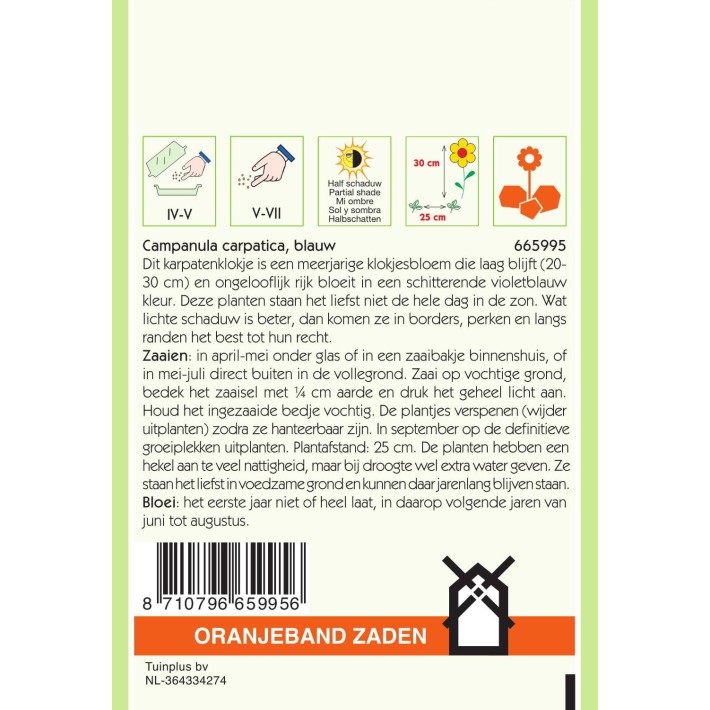 Oranjeband® Campanule Carpatica Bleue