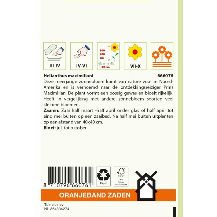 Oranjeband® Helianthus Maximilian