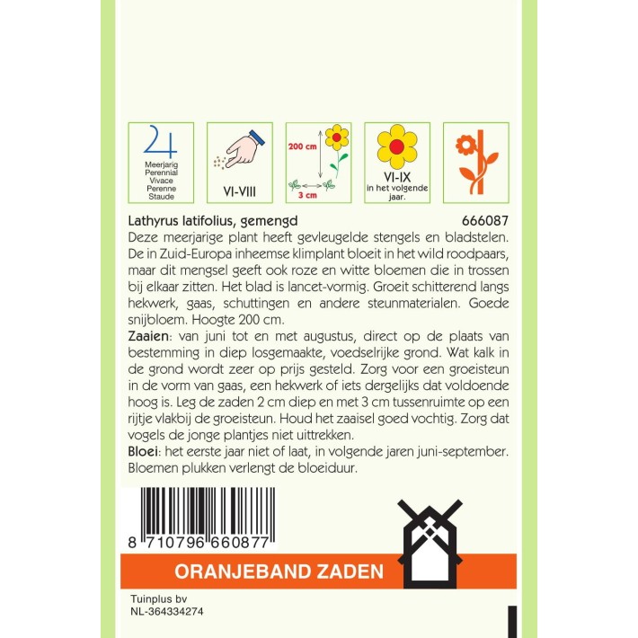 Oranjeband® Lathyrus Latifolius Mxd