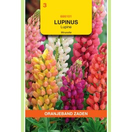 Lupinus, Lupine Minarette gemengd