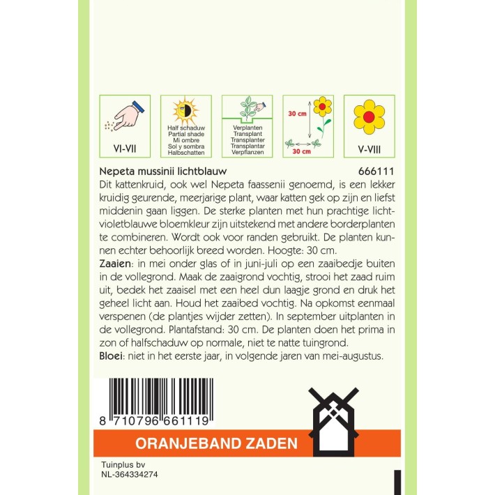 Oranjeband® Nepeta mussinii bleu