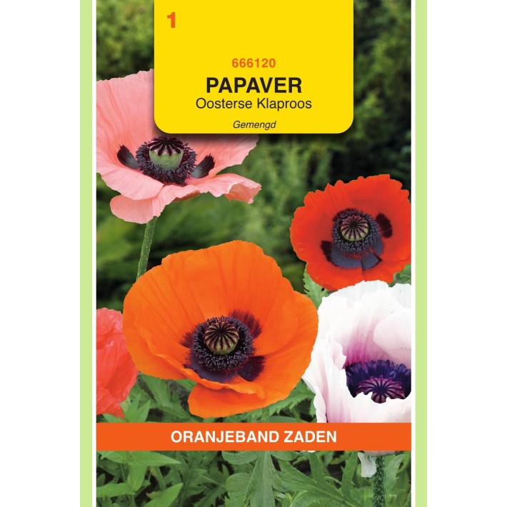 Oranjeband® Coquelicot Pavot d'Orient
