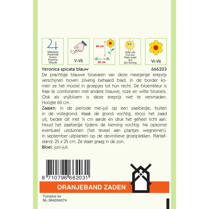Oranjeband® Veronica Spicata Bleue / Veronique