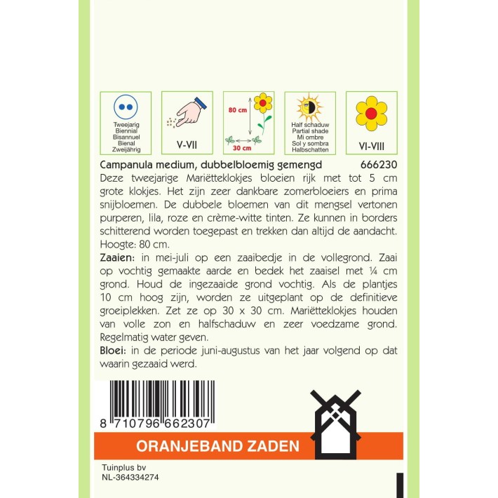 Oranjeband® Campanula Calyc. Cup en Saucer Mixed