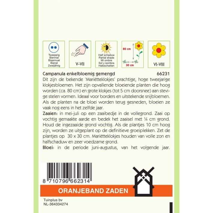 Oranjeband® Campanula Medium Single Mixed