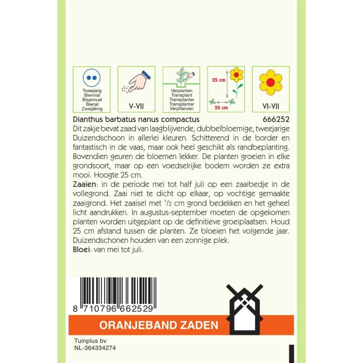 Oranjeband® Dianthus barbatus Dwarf double mixed