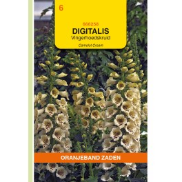 Digitalis, Vingerhoedskruid Camelot cream