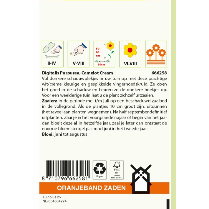 Oranjeband® Digitalis Camelot Cream