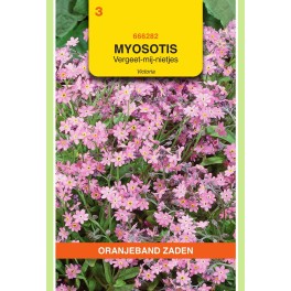 Myosotis, Vergeet-mij-niet Victoria, roze
