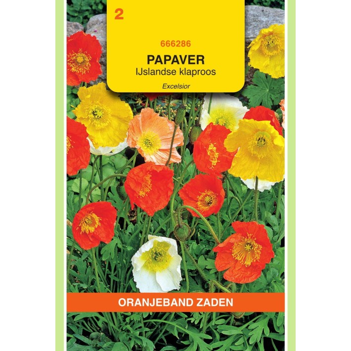 Oranjeband® Poppies of the world Coquelicot Pavot d'Islande