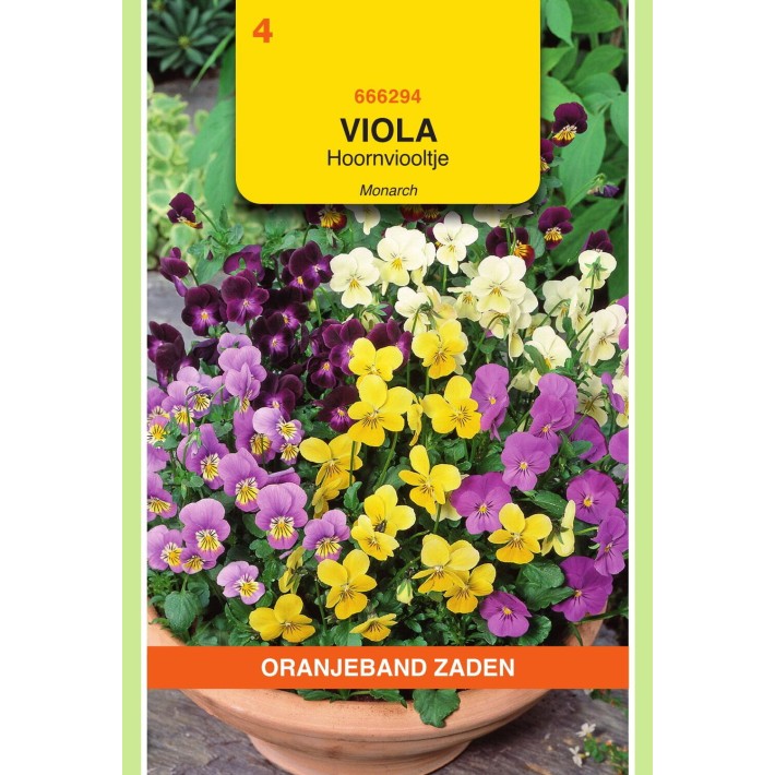 Oranjeband® Viola cornuta Scotch Hybrids En Melange